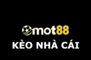 Tìm hiểu về MOT88 kèo nhà cái chi tiết nhất